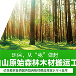 EO級櫥柜的倡導者？為何堅持 ？