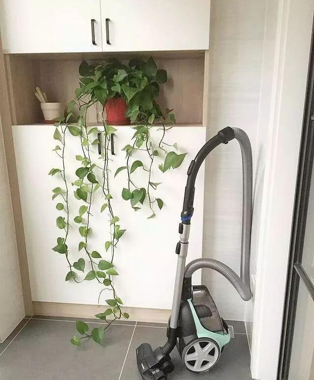 全屋定制.jpg 全屋定制.jpg